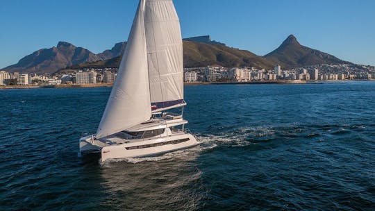 Catamarã Leopard 45