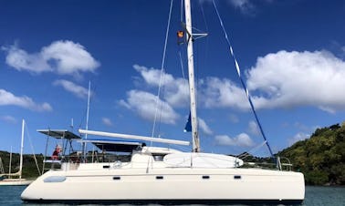 Profitez d'excursions d'une journée ou de croisières aux Grenadines à bord de notre catamaran de luxe