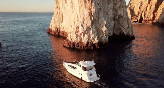 45ft Sea Ray Party Yacht