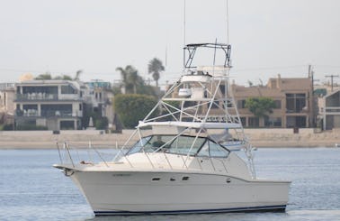 40ft Mission Bay Party Boat - 100% Legal and Legitimate