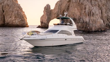 Luxury 45' SEARAY FLY BIGE SEDAN Yacht Charter in Cabo with Flybridge Experience