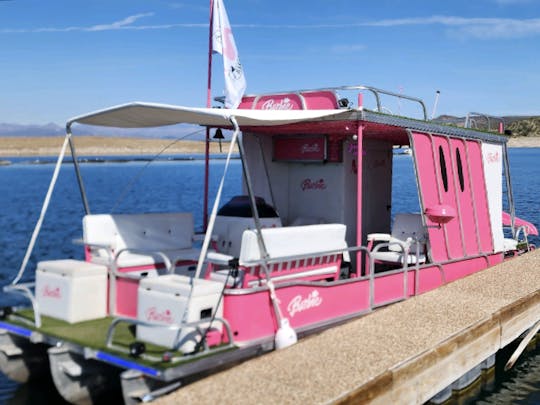 ¡Pontón Barbie Party Boat en Lake Pleasant! Perfecto para grupos de 8 personas