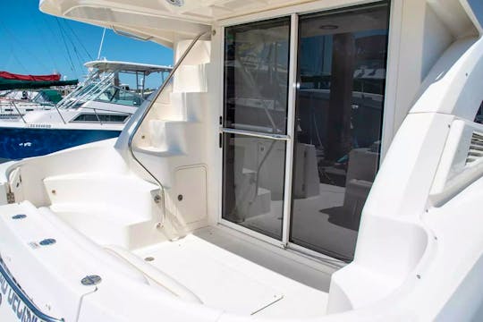 SeaRay American Premium Yacht for Rent