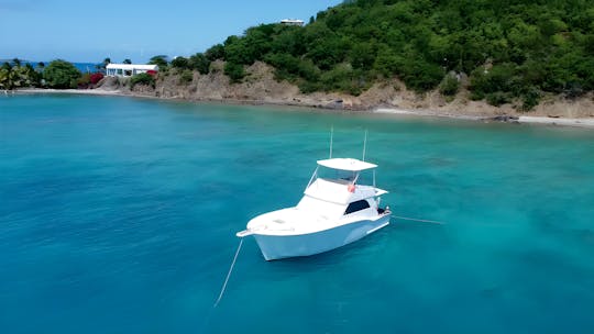 Private Boat Tour, Fajardo PR  Icacos Island or Palomino Island,SEA BOB INCLUDED