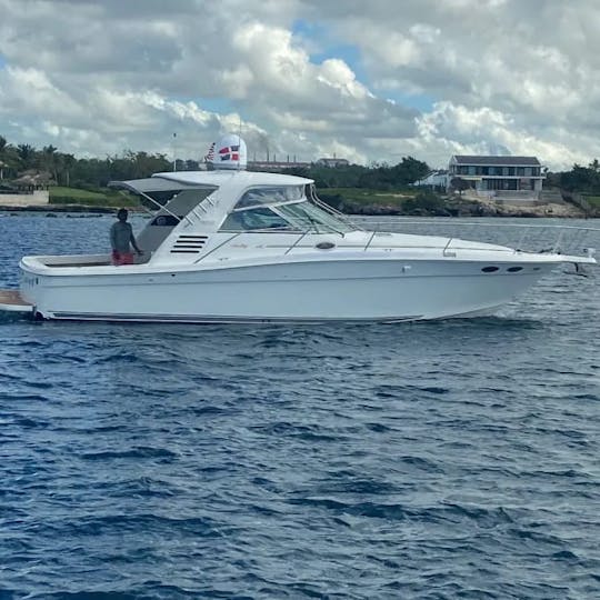 Visitez l'île de Saona à bord de ce yacht à moteur Sea Ray de 37 pieds