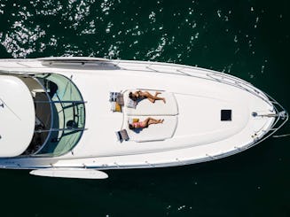 Sundancer Sea Ray 510, design élégant et silhouette performante