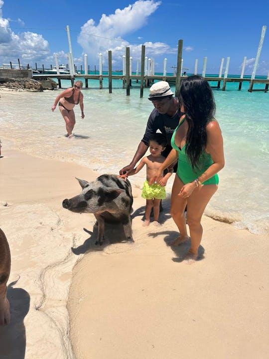 Nassau : plongée en apnée, visites touristiques, cochons nageurs, plusieurs îles