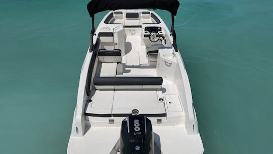 Big Grey, our Gorgeous 23' Bayliner Deck Boat with sports tower!