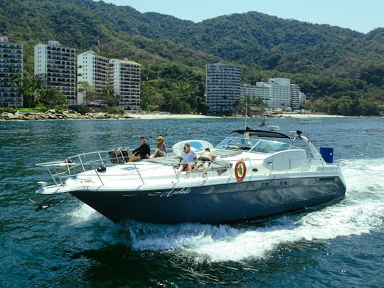 ANDALE | Wonderful SeaRay Express 55ft yacht, Cruising a perfect day at PV. 