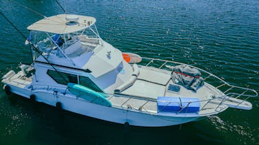 Hatteras 46 ft Luxury Yacht Charter