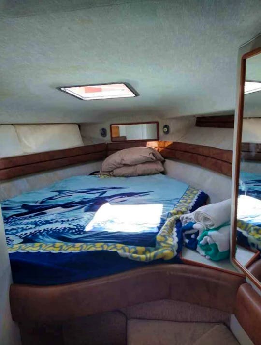 32ft Sea ray for whale watching 