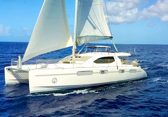 46' Catamaran Charter with Water Toys - Annapolis, MD