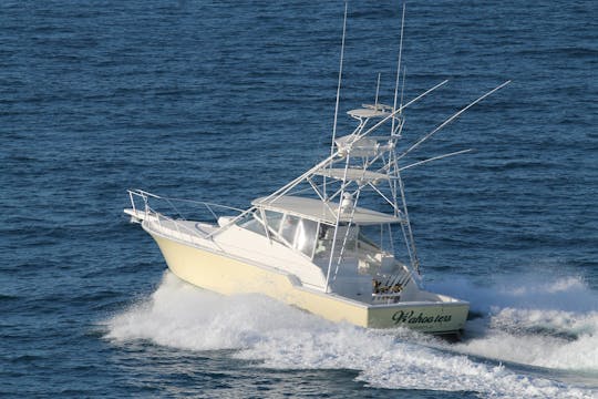 Carta de pesca em alto mar de 6 horas nas Ilhas Turks e Caicos “Wahooter”