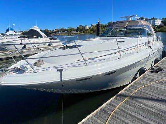 Enjoy Chicago in this 46' Sea Ray - Great for Birthdays - Bachelorette Parties