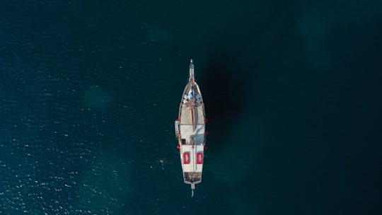 Barco diurno para 49 convidados com tripulação permanente de Atenas