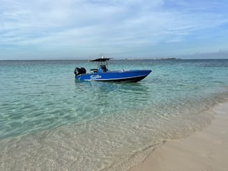 Private boat to explore Pigs Turtle Snorkeling and Beaching 