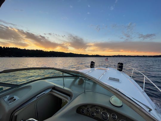 36' Luxury Sea Ray Yacht - Ultimate Lake Washington Cruise Experience!