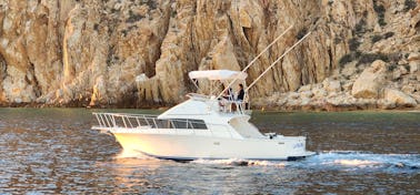 LA PALOMA FISHING TRIPS & TOURS