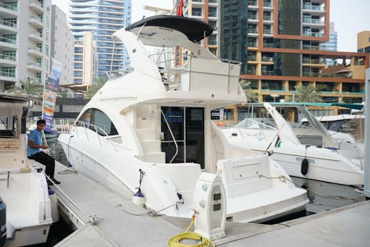 SeaRay American Premium Yacht for Rent