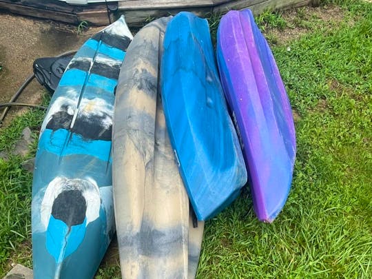 4 kayaks for rent - Field & stream, Sundolphin and Lifetime