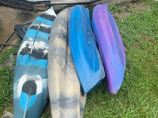 4 kayaks for rent - Field & stream, Sundolphin and Lifetime