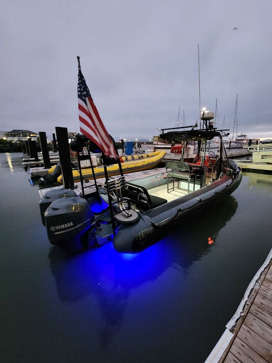 Former US Navy High Speed Zodiac Cruise San Francisco Bay 