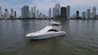 Iate Sea Ray 58 Sedan Bridge em Cartagena das Índias (16 nós)