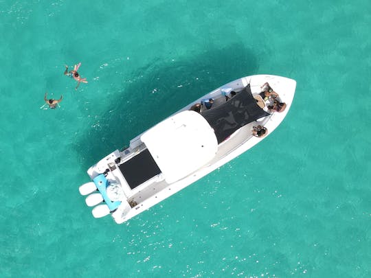 Boston Whaler de 38 pés com capitão para a melhor aventura em Sint Maarten