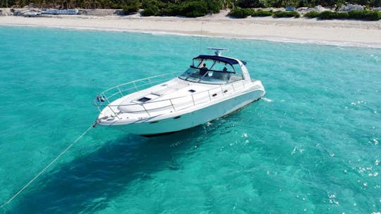 Day charter around Nassau with lunch and unlimited Bahamian rum punch