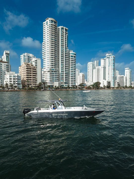 Excursion en bateau privé vers les îles du Rosaire