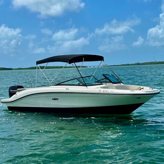 Enjoy & Explore the Waters of Islamorada on Our 21ft Searay Bowrider!