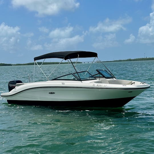 Enjoy & Explore the Waters of Islamorada on Our 21ft Searay Bowrider!