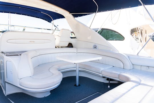 Almohadillas solares Sea Ray Sundancer grandes de 45 pies