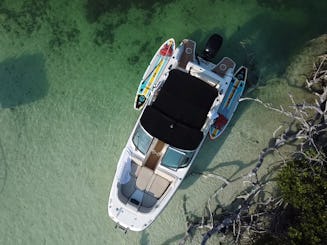 Allons faire du bateau comme un lieu de rencontre local sur Sandbar, d'île en île ou de planche à pagaie