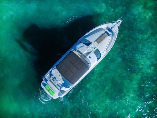 51フィートのシーレイフライでマイアミをお楽しみください!!!🌊🌊 毎日30分の乗車無料 🚤