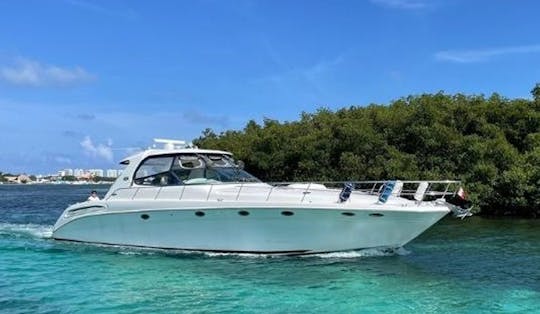 Exclusive Giant 60ft Sundancer Motor Yacht In Cancún, Quintana Roo