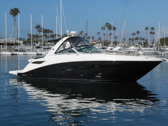 🛥️ Fully loaded Luxury Sport Yacht Departing from Lake Union Downtown Seattle!