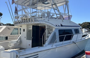 45’ Luxury Multi-Level Mission Bay Cruiser