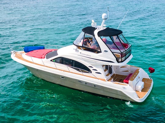 GORGEOUS SEA RAY  FOR THE BEST MIAMI EXPERIENCE