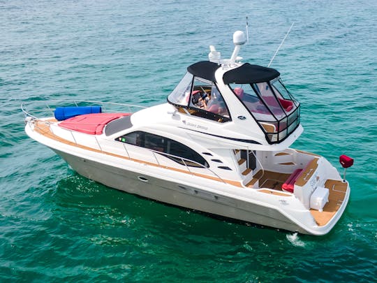 GORGEOUS SEA RAY  FOR THE BEST MIAMI EXPERIENCE