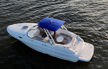 Performance Cruising + Tubing en el lago Houston