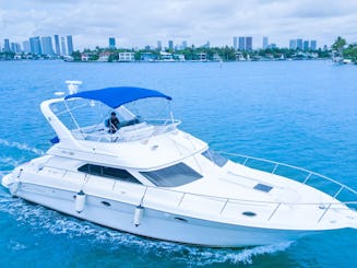 マイアミで「アムステルダム」シーレイフライ51フィートをお楽しみください!!!🌊🌊