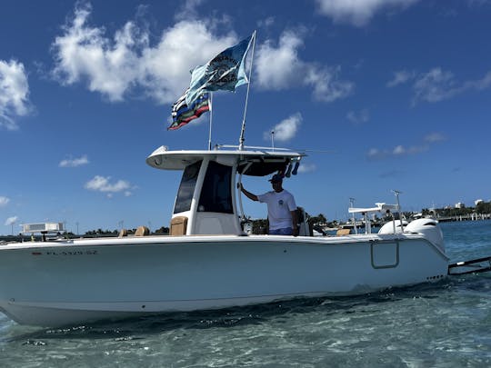 Bateau de fête décoré