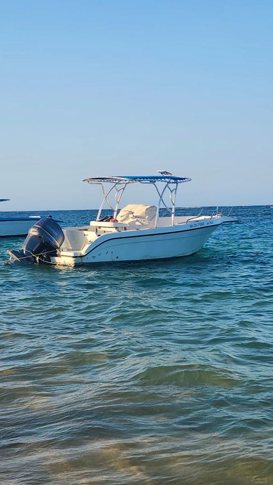 Speedboat For Excursions And Fishing Trips On 34ft Promarine Center Console