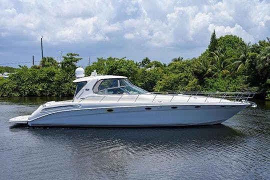 Magnifique yacht à moteur Sea Ray 55 à Puerto Vallarta