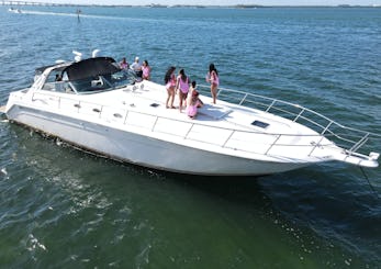 Searay de 55 pies: ¡hasta 200$ de descuento* + fotos y vídeos de drones GRATIS!