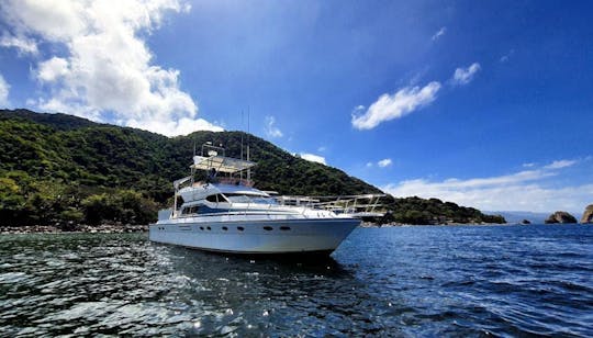  Yate Gold Island de 65 pies; su día de crucero o pesca deportiva en el Pacífico