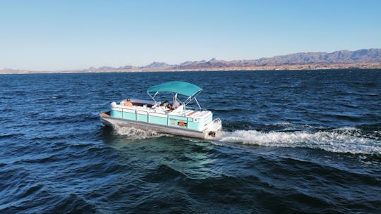 🐬 Bateau ponton Premier de 25 pieds avec un capitaine amusant en option ! 