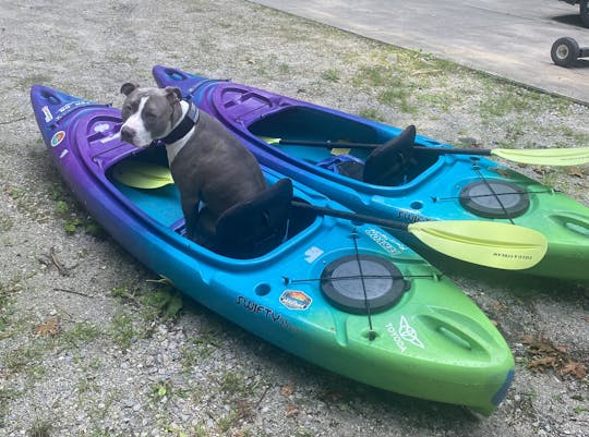 Explorez la beauté du lac Michigan et du lac Duck en kayak !
