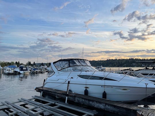 32' Bayliner - Perfect boat for Summer in Seattle - up to 10 people